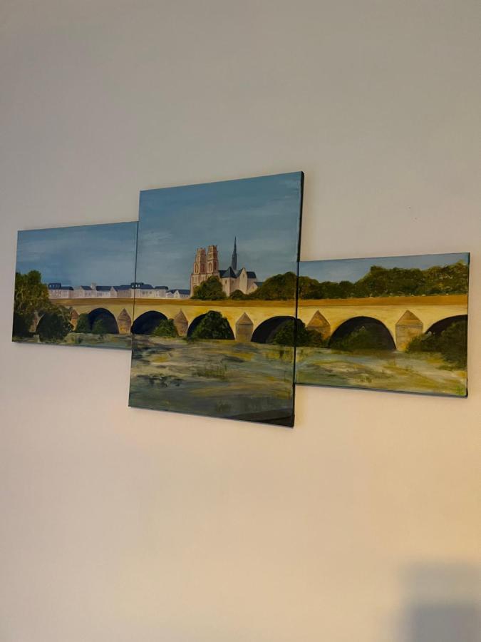 Cosy Loire, T2 Neuf, Front De Loire ,Vue Cathedrale,5Min A Pied Centre Ville Et Parking Prive Orleans Exterior photo